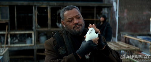 image9ce6b1301bb893b5.png