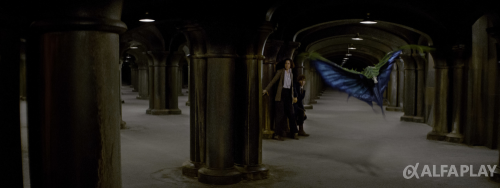 imagec9ff917e0c2f0941.png