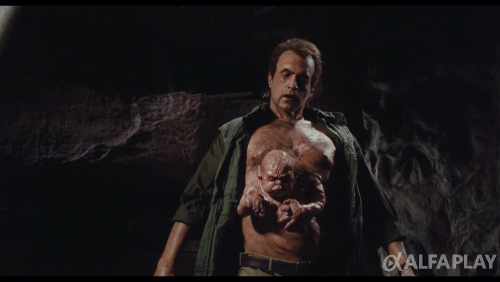 image62022600efa1347a.png