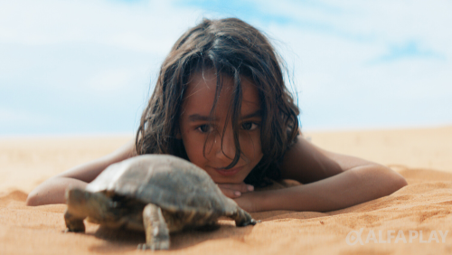 image16eeadf3bb62a986.png