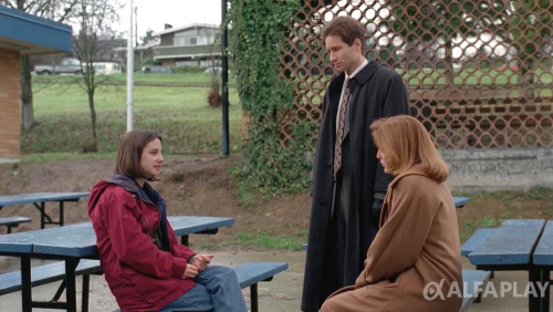 image8e91922e8addb258.png