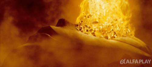 image1aad5869708cb5e5.png