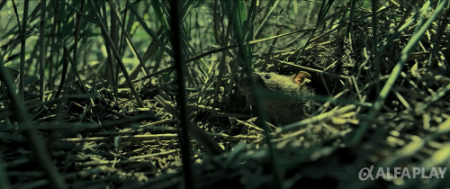 image997d2207a7271c9a.png