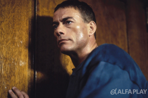 image229a734de494f81f.png