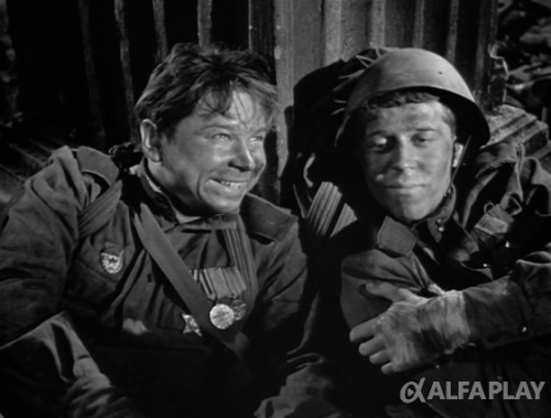 image2816feea88ae7f4d.png