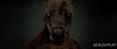 image489d61b70de48734.png