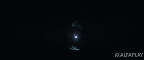 imagee8f524bcf60b05f6.png