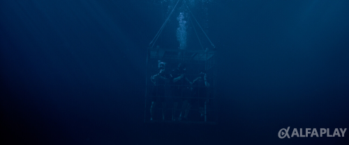 image285d5db17e8a8386.png