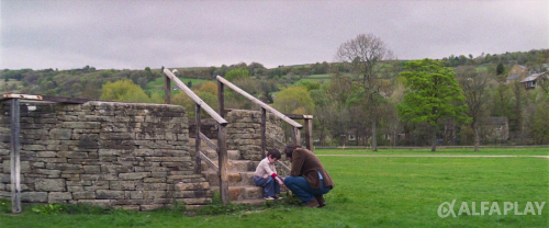 image244bb3845a255f3d.png