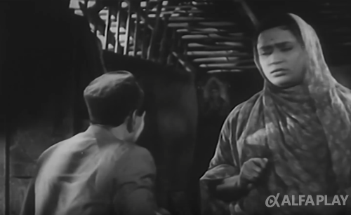 image222d03a700c3cd3f.png
